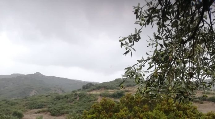 Σκυλάκι και παιδάκι ότι μάθει από μικράκι