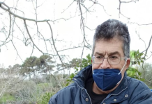 Ένας πανέμορφος αετός με σπασμένο φτερό