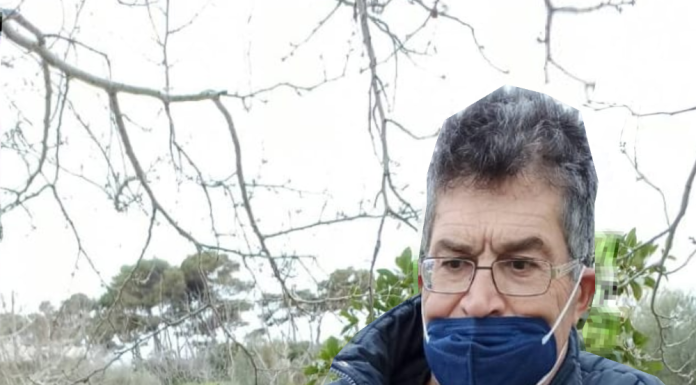 Ένας πανέμορφος αετός με σπασμένο φτερό