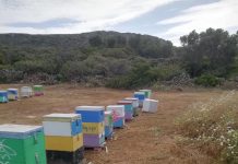 Του μπήκε και του βάβλιξε*. Πολλά τα μποφόρ.