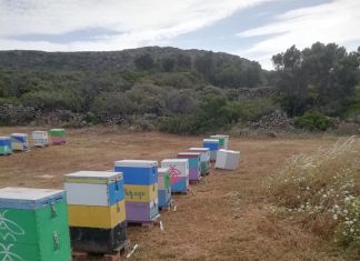 Του μπήκε και του βάβλιξε*. Πολλά τα μποφόρ.