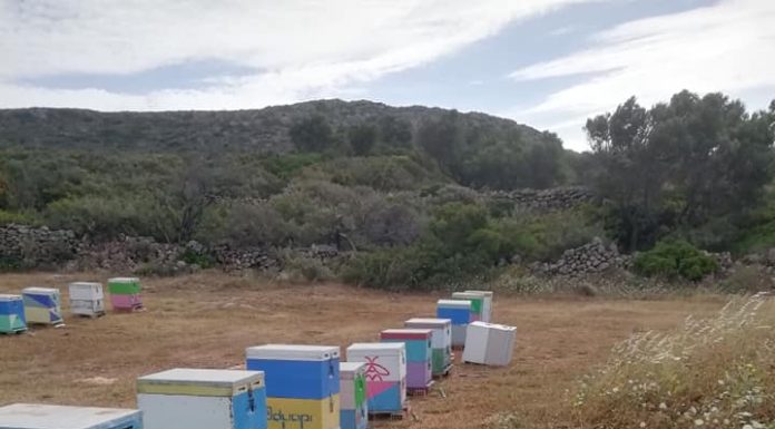 Του μπήκε και του βάβλιξε*. Πολλά τα μποφόρ.