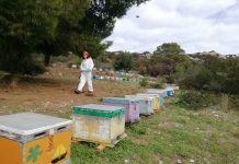 Ωραία μέρα, ωραία παρέα, όρεξη για δουλειά!