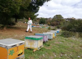 Ωραία μέρα, ωραία παρέα, όρεξη για δουλειά!