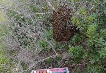 Τι κι αν κάνει κρύο; Ξεπορτίσαμε!