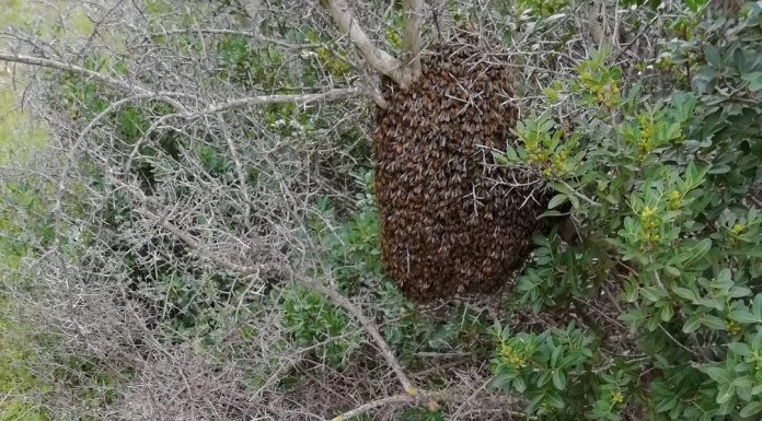 Τι κι αν κάνει κρύο; Ξεπορτίσαμε!