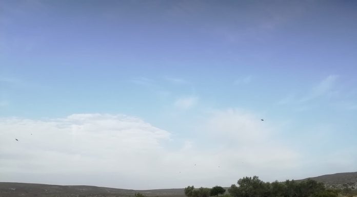 Ο χειμώνας πλησιάζει. Πάμε γι’ άλλες πολιτείες πιο απανεμικές