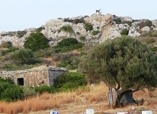 Έχουμε και θεατές!