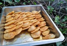 Τηγανίτες με θυμαρίσιο μέλι