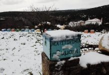 Χιόνι στα Κύθηρα;