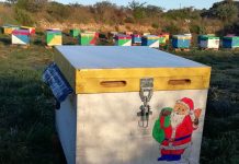 Ο δικός μας Άγιος Βασίλης θα σας φέρει το πιο γλυκό δώρο για τις γιορτές