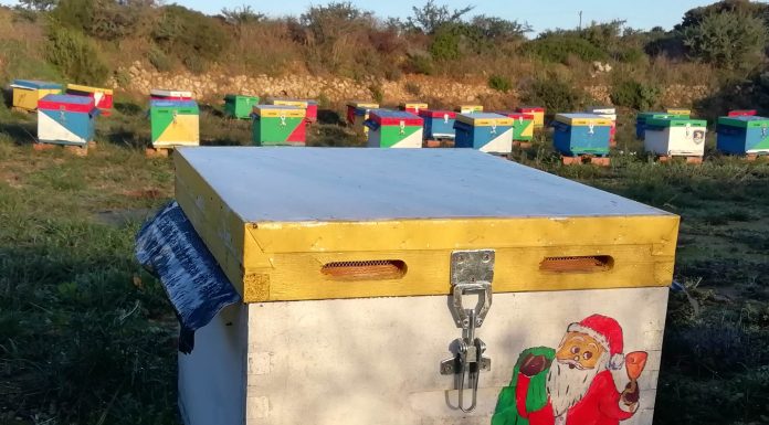 Ο δικός μας Άγιος Βασίλης θα σας φέρει το πιο γλυκό δώρο για τις γιορτές