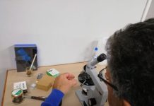 Η πρόληψη είναι η καλύτερη θεραπεία