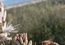 Αρχίζει η δουλειά. Καλά διάφορα!