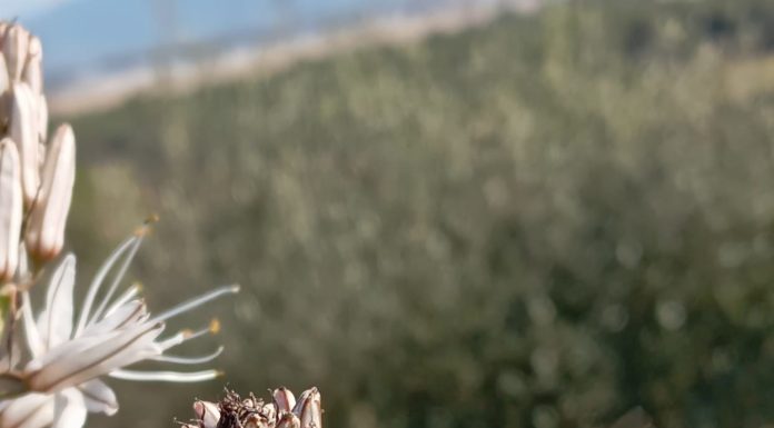 Αρχίζει η δουλειά. Καλά διάφορα!