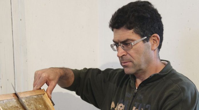 Γαστρονόμος | Γιάννης Πρωτοψάλτης, Το μέλι των Κυθήρων