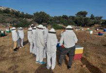 Γράμμα στον φίλο μου τον Δημήτρη το 2018