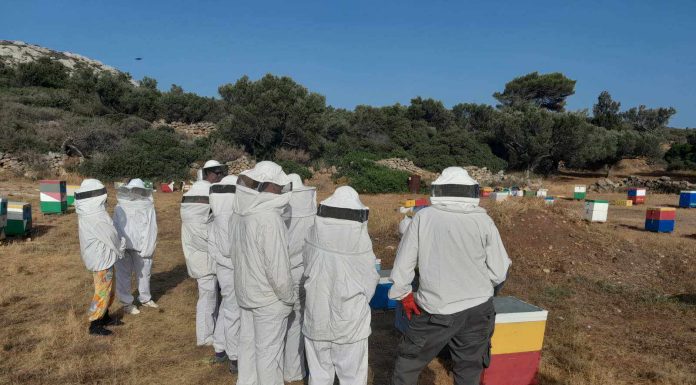 Γράμμα στον φίλο μου τον Δημήτρη το 2018