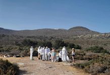 Ο μελισσοτουρισμός