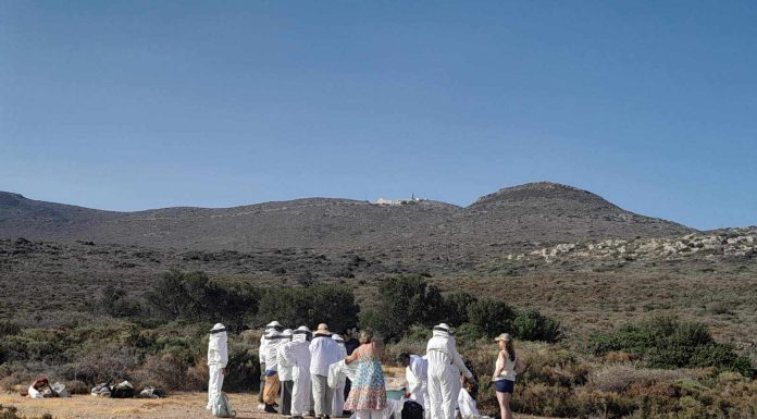 Ο μελισσοτουρισμός