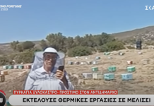 Γιάννης Πρωτοψάλτης στον ΣΚΑΪ: Υπάρχουν κανόνες για τις μελισσοκομικές εργασίες