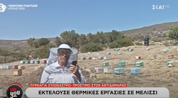 Γιάννης Πρωτοψάλτης στον ΣΚΑΪ: Υπάρχουν κανόνες για τις μελισσοκομικές εργασίες