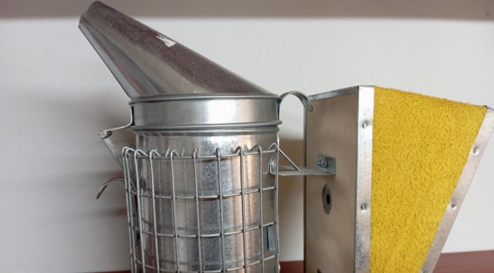 Το κάπνισμα των μελισσών: Παρεξηγήσεις και αλήθειες