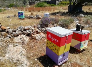Η οικογενειακή μελισσοκομία των Κυθήρων: Μια ζωή αφιερωμένη στο μέλι, τη φύση και τις αξίες του τόπου