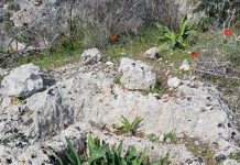 Αρχαίο μελισσοκομείο κοντά στην Παλιόπολη Κυθήρων