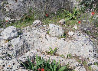 Αρχαίο μελισσοκομείο κοντά στην Παλιόπολη Κυθήρων