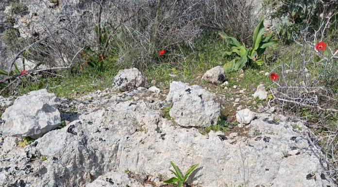 Αρχαίο μελισσοκομείο κοντά στην Παλιόπολη Κυθήρων